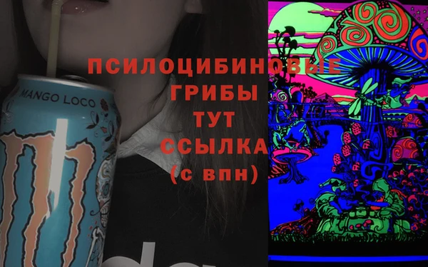 бутират Алзамай