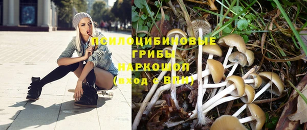 спайс Алексин