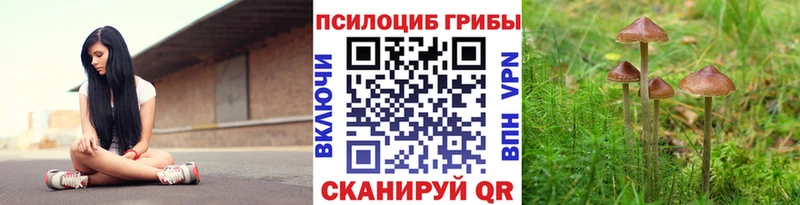 Псилоцибиновые грибы прущие грибы  Аткарск 